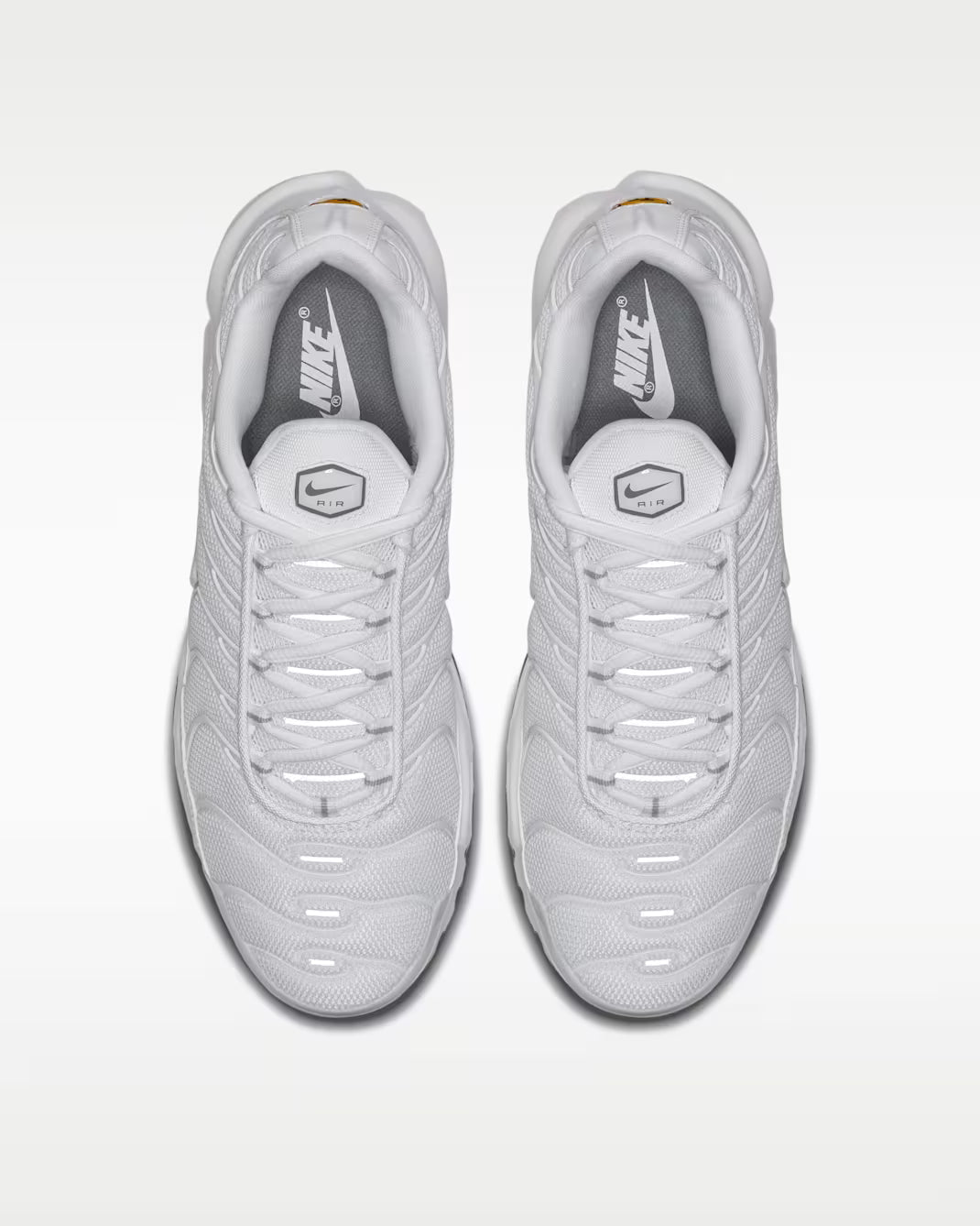 Tn White